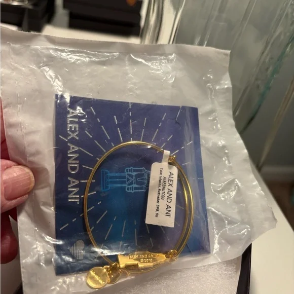 Alex and Ani Gold Nutcracker Bracelet - Picture 3 of 10